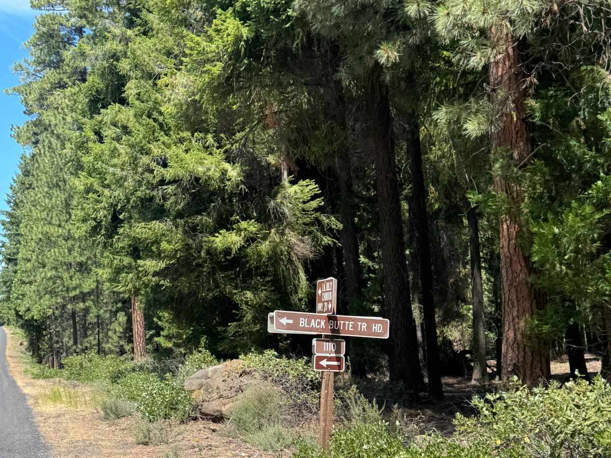 Black Butte Trail - FS 1110 trail photo