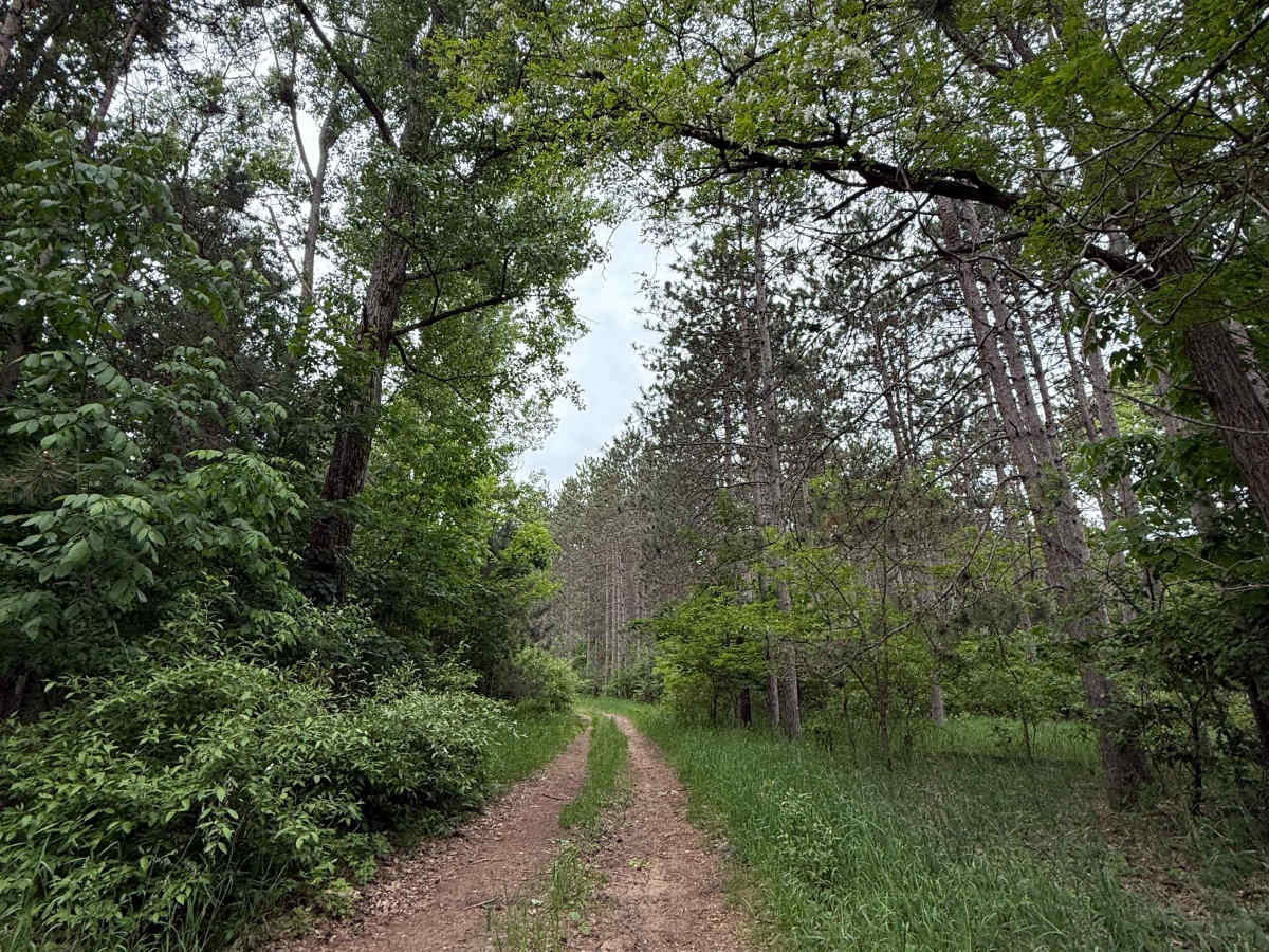 Broomhead Trail South photo 3