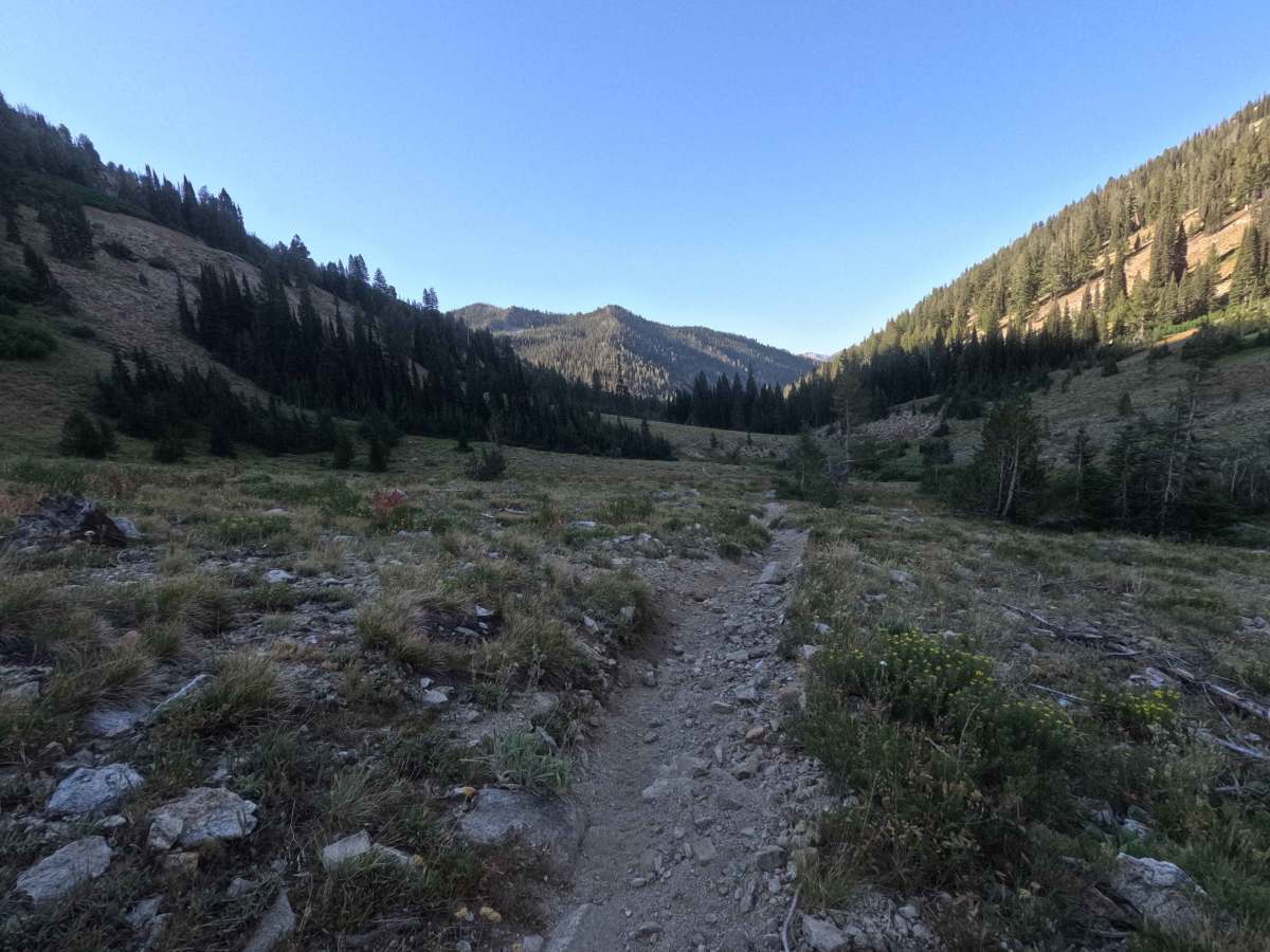North Fork Ross Fork - FS 7226 photo 5