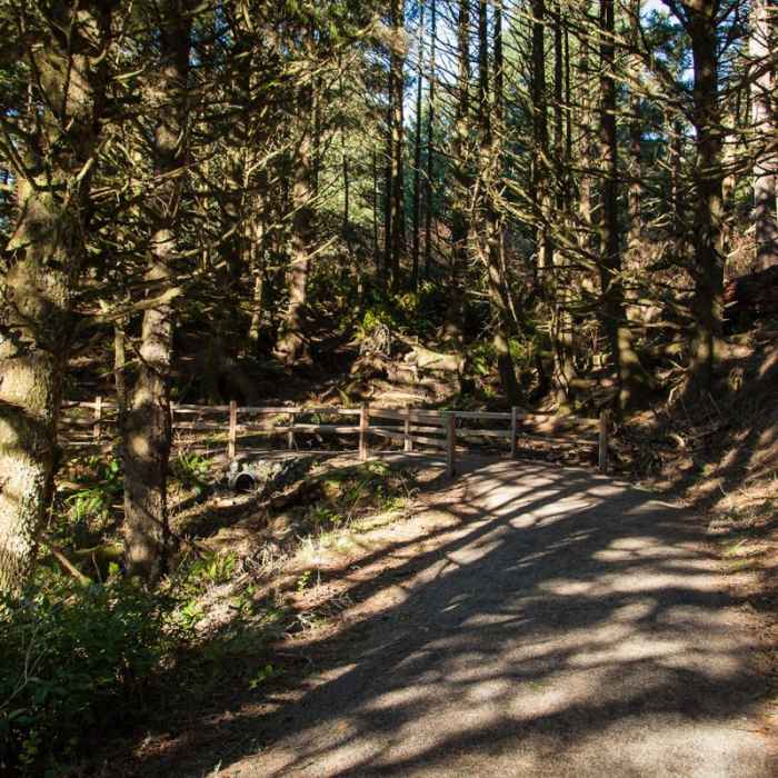 Near Heceta Head Lighthouse