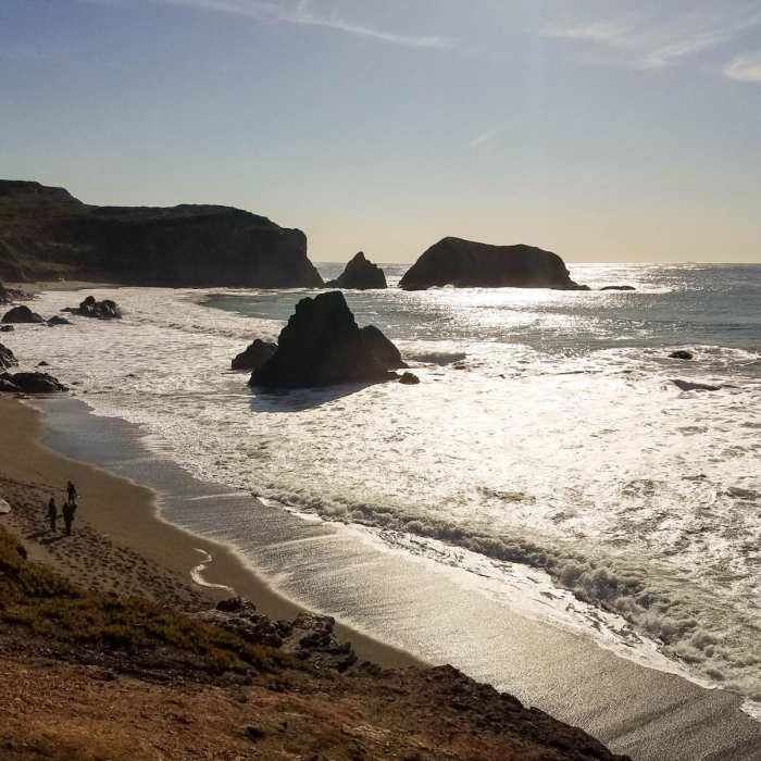 Near Fort Cronkhite Loop: Coastal, Wolf Ridge + Miwok Trails