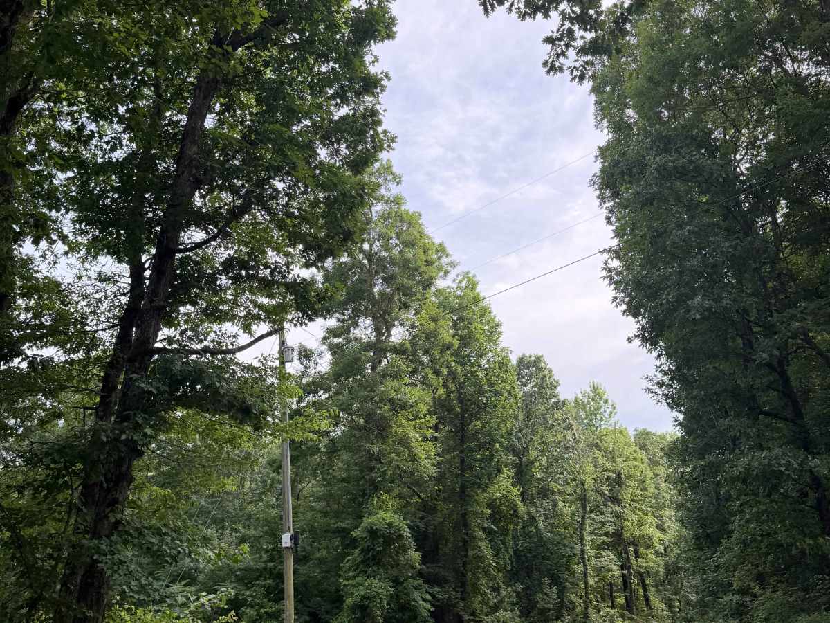 County Road 1805 photo 6