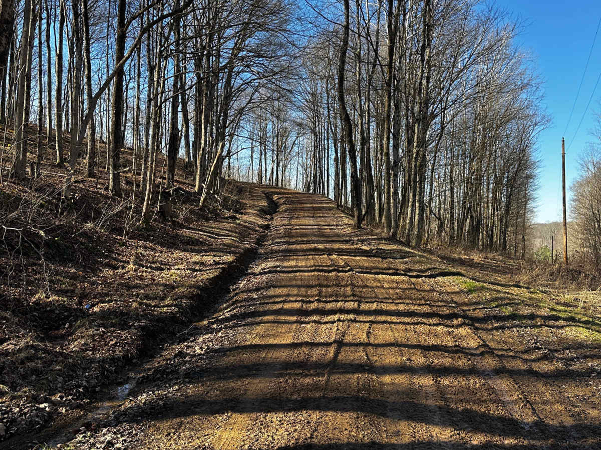 Bean Ridge  photo 6