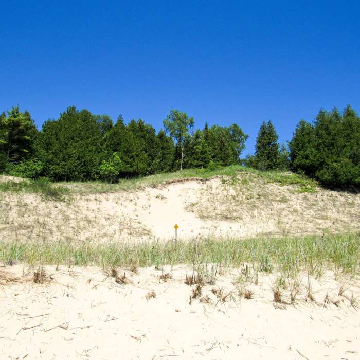 Near Red Trail Near Red Trail