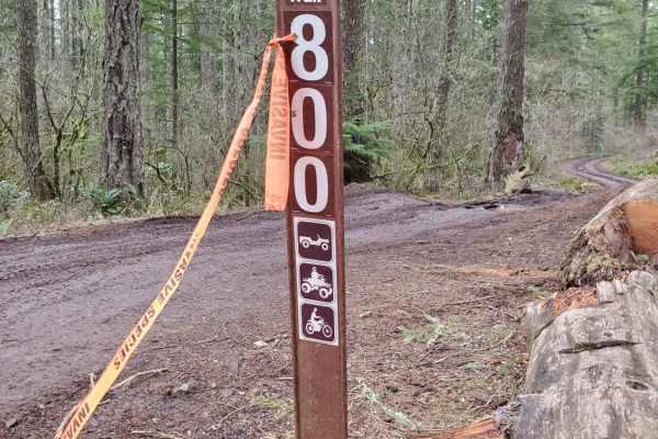 Trail 800