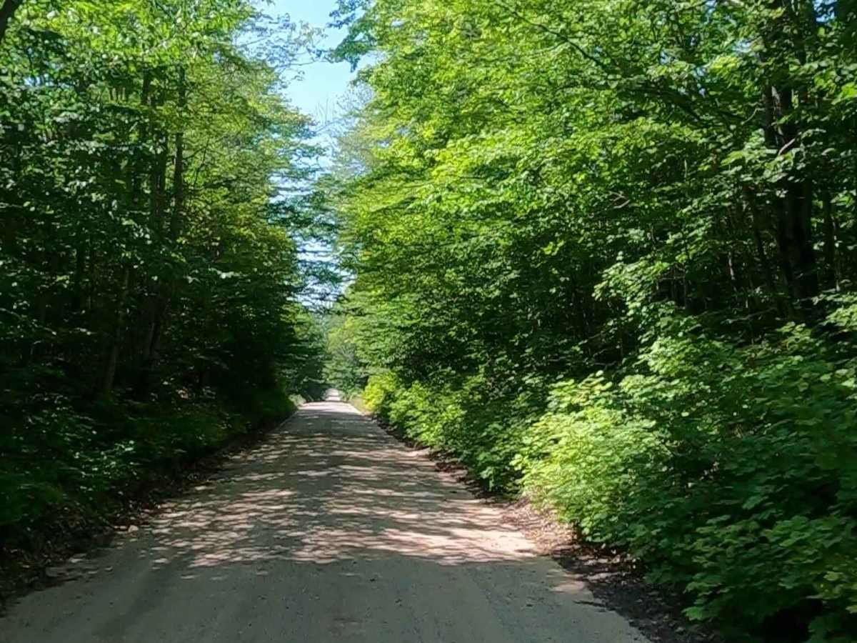 Pohlman Drive photo 6