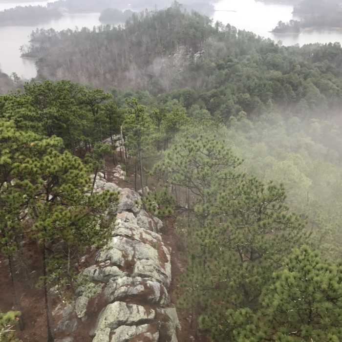 A fog rolls over the ridge below the fire tower. Near Walker Bynum Tower Loop