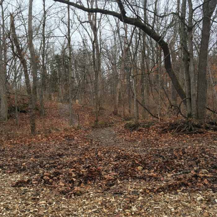 Near Three Creeks Trail - Turkey Creek Segment