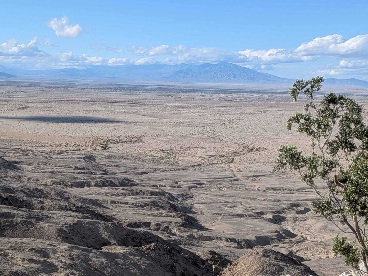 BLM 335 photo 6