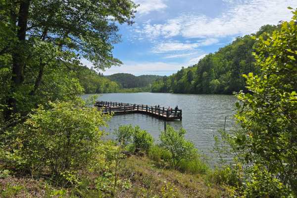 Lake Cherokee Road