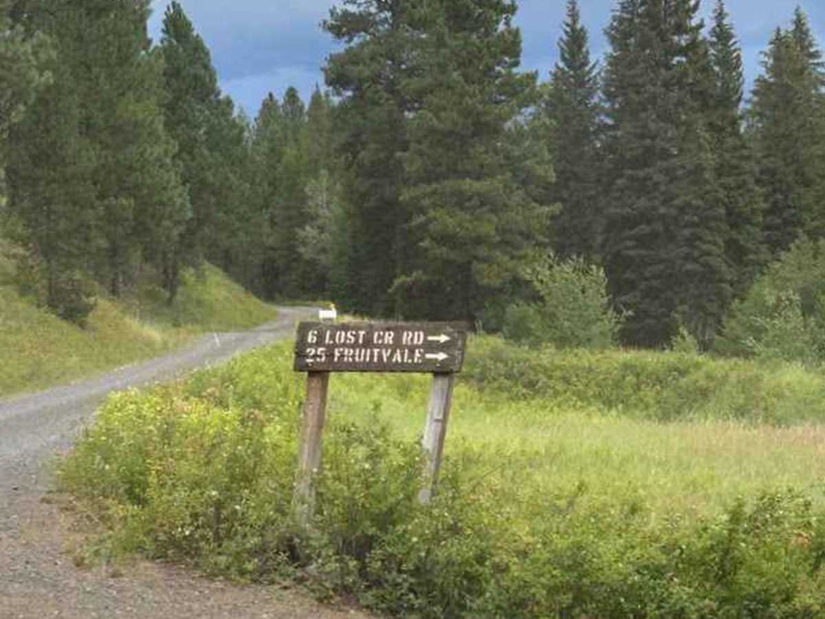 West Fork Weiser photo 4