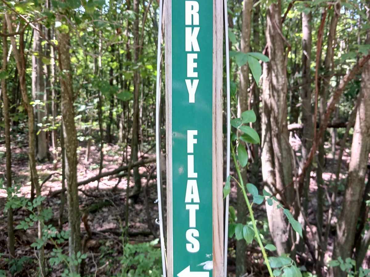 Turkey Flats Road - Rock Run Recreation Area trail photo