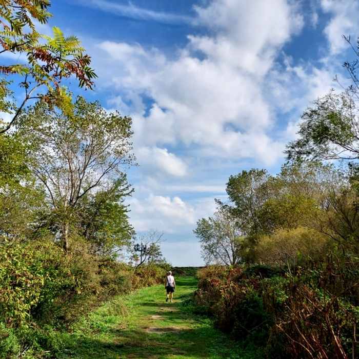 Near Perimeter Loop Trail