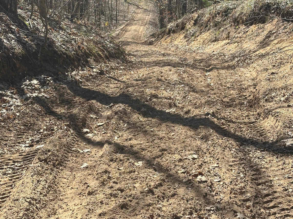Hill Climb  photo 5