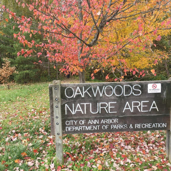 Near Oakwoods Nature Trail