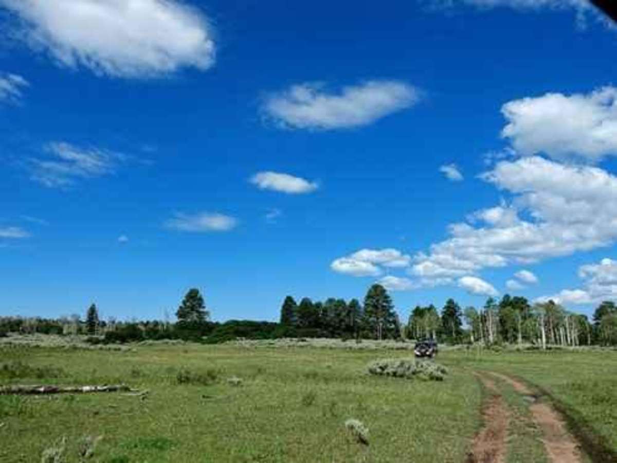 Roubideau Jeep Trail photo 4