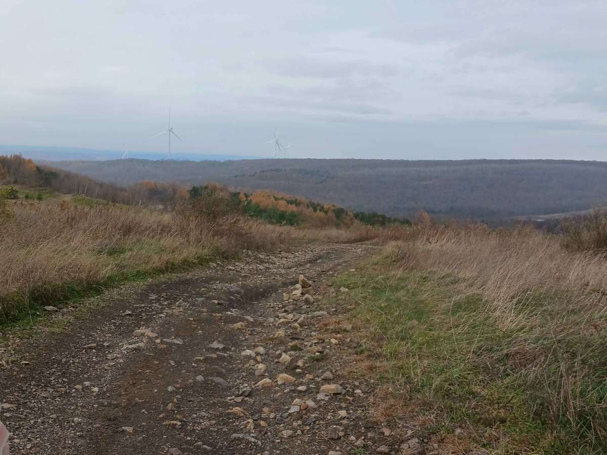 Trail 11Ext - Rock Run Recreation Area photo 6
