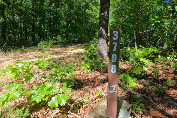 Pinhook - FS 3708