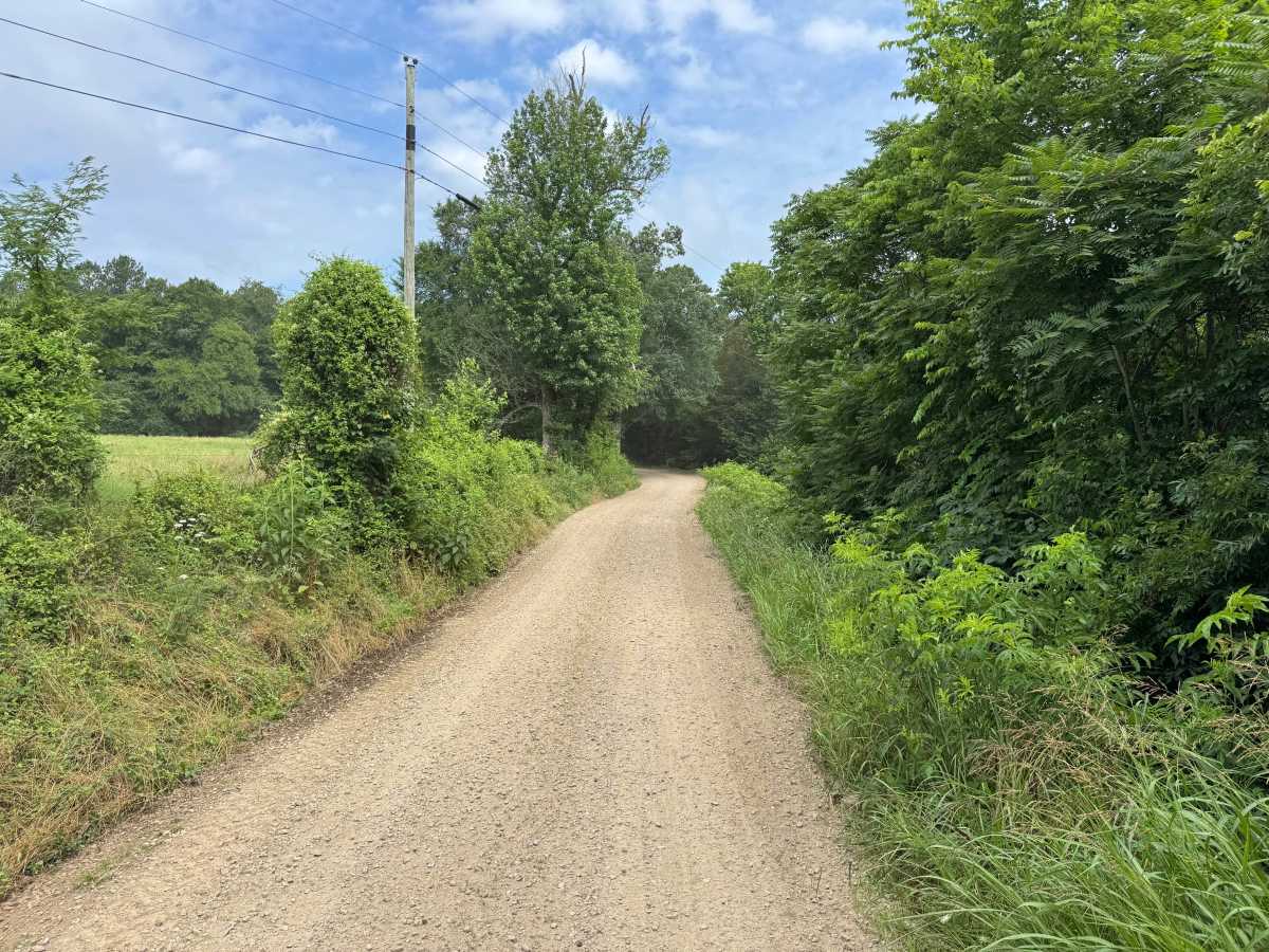 Minnow Creek Road - 3611 trail photo