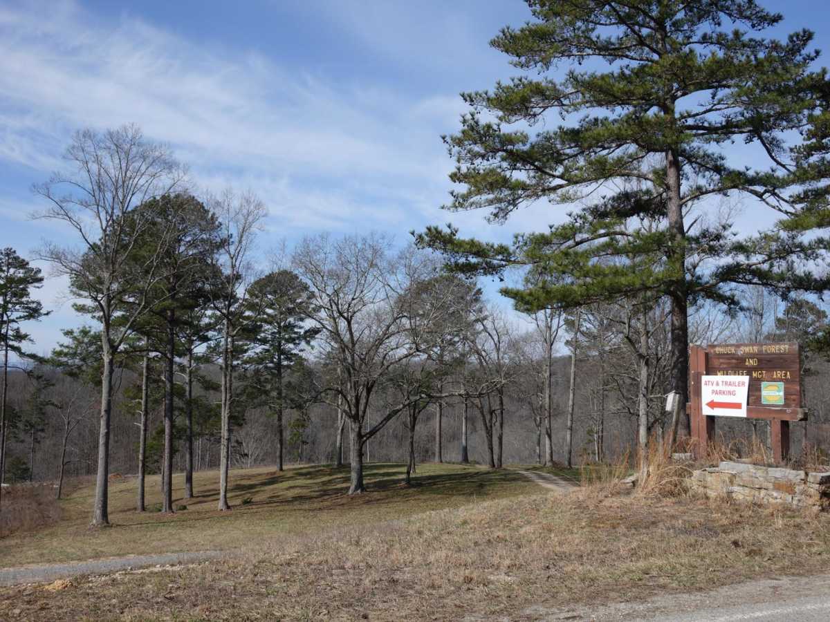 Main Forest Road photo 4