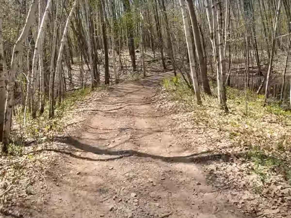 Foxy Loop 2 photo 6