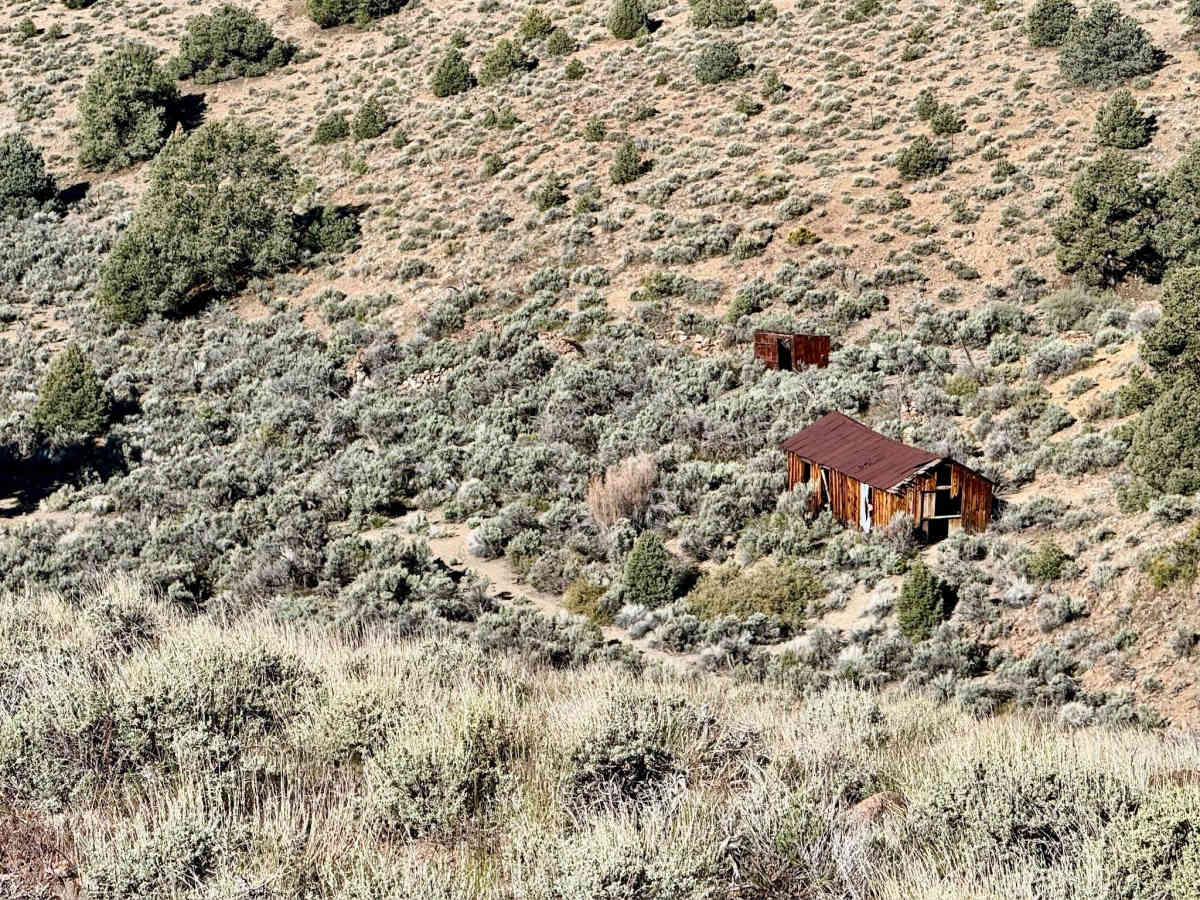 Barrel Spring Dry Canyon - FS 44451 photo 3