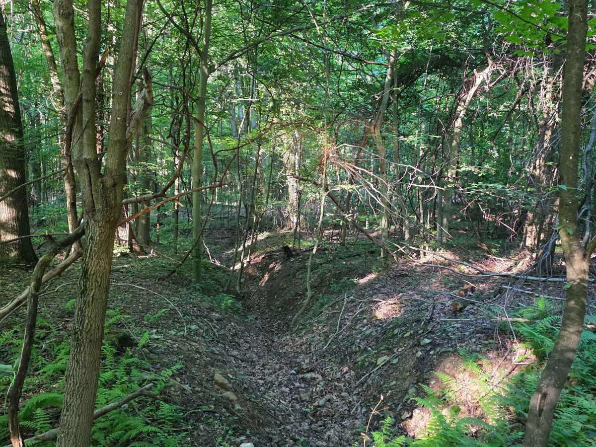 Single Track C1 photo 3