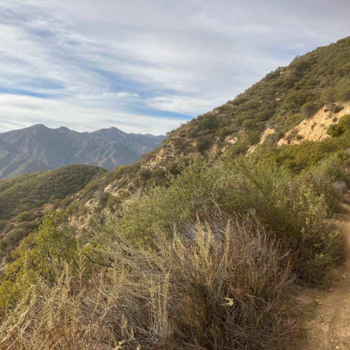 Near Bear Canyon Front Country Loop