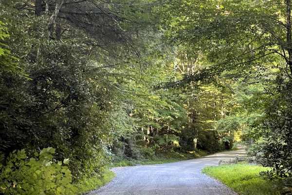 Flannary Fork Road