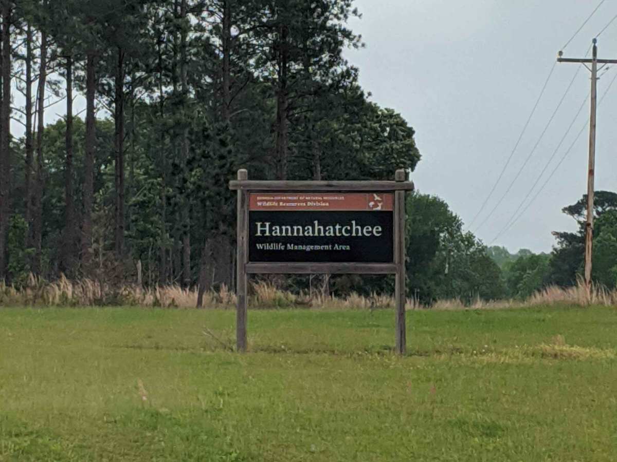 Hannahatchee Creek Trail trail photo