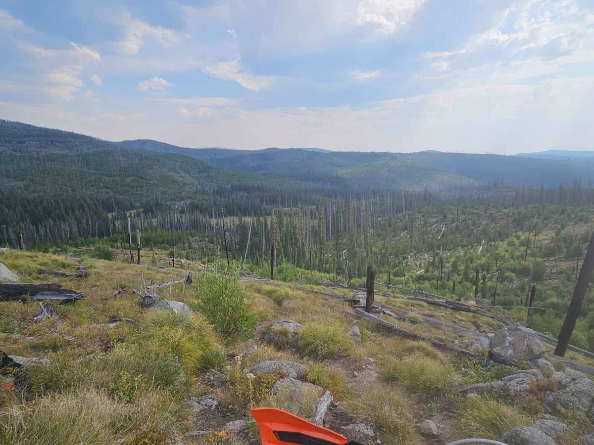 Divide Creek North photo 5