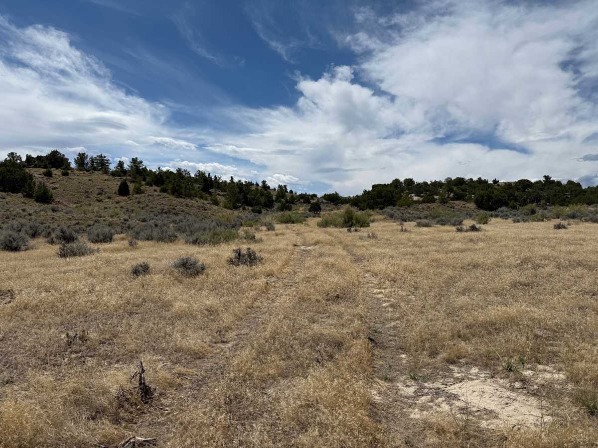 Bill's Trail trail photo