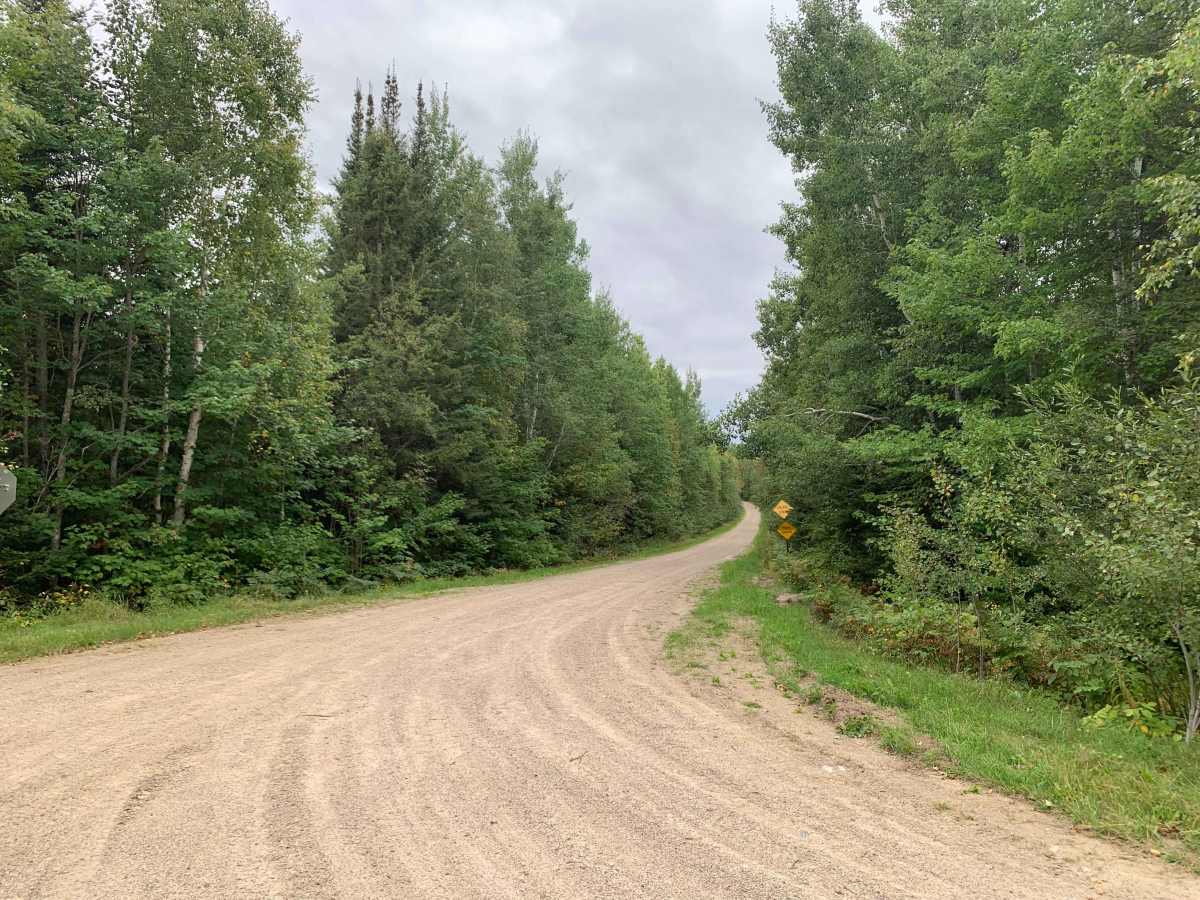 Ninemile - FS 612 trail photo