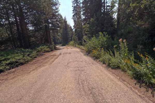 Rock Creek Road - FS 9S090