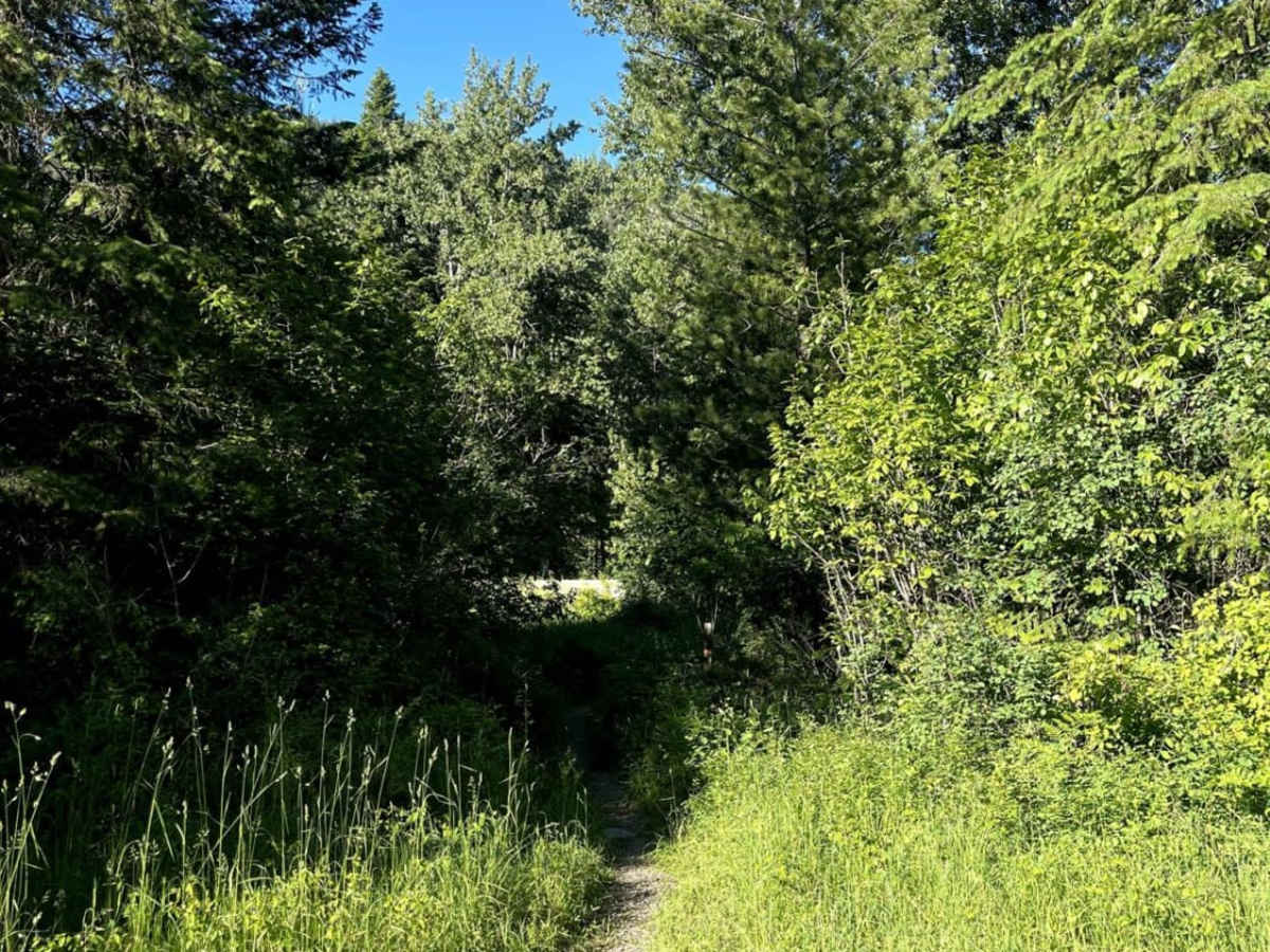 Graham Creek photo 3