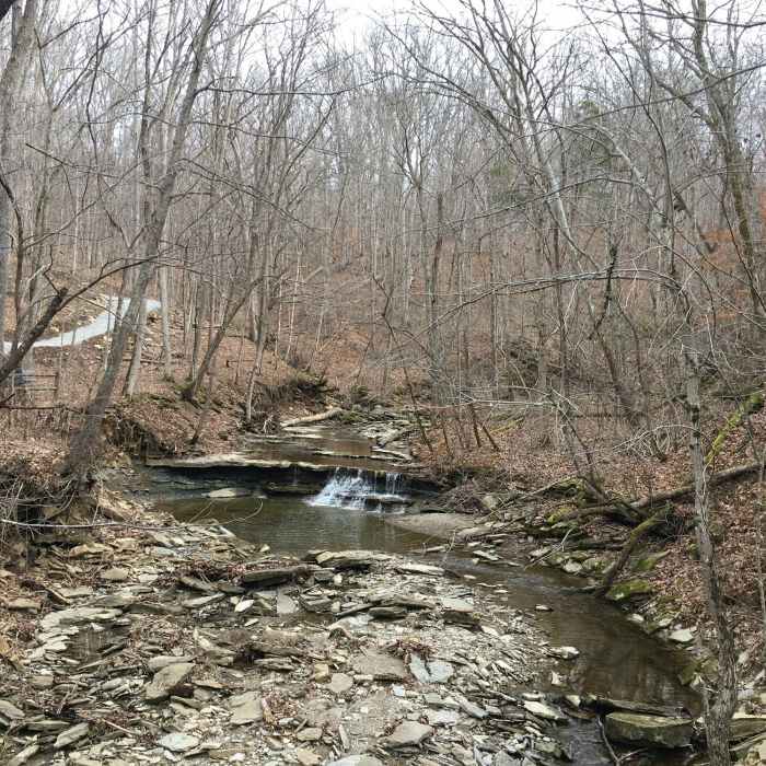 Creek Bisecting the Geology Trail Near Geology Trail