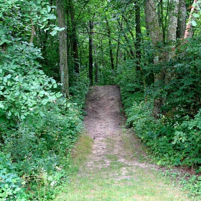 Ice Age Trail at Indian Lake County Park, Wisconsin. Near Ice Age Trail: Indian Lake Segment