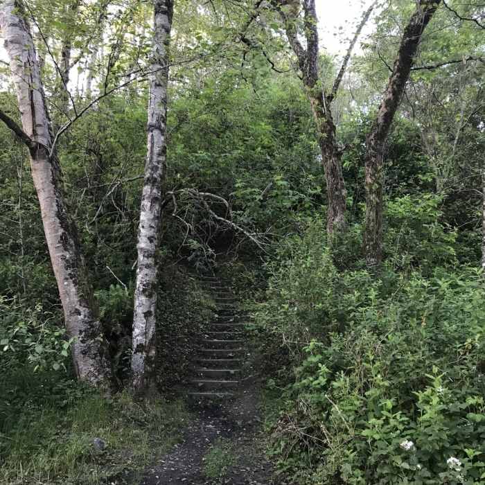 The Parker Creek Trail is closely bordered by vegetation as it works down the hill. Near Parker Creek Trail