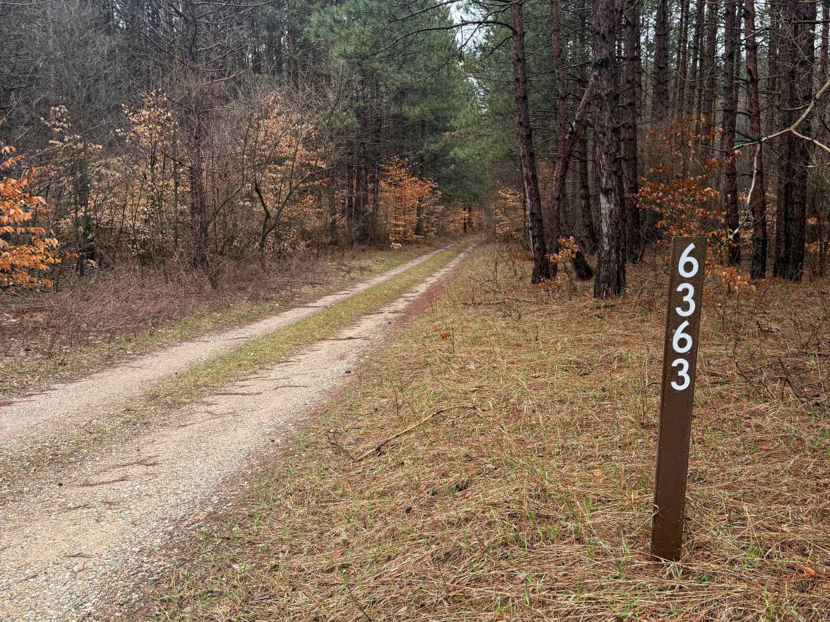 NFS 6363 trail photo