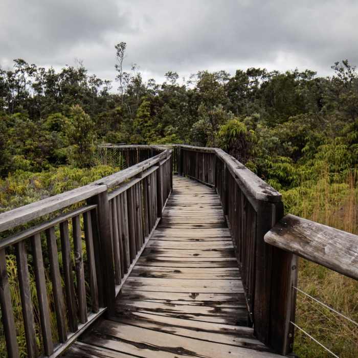 Near Sulphur Banks + Crater Rim Trail Loop