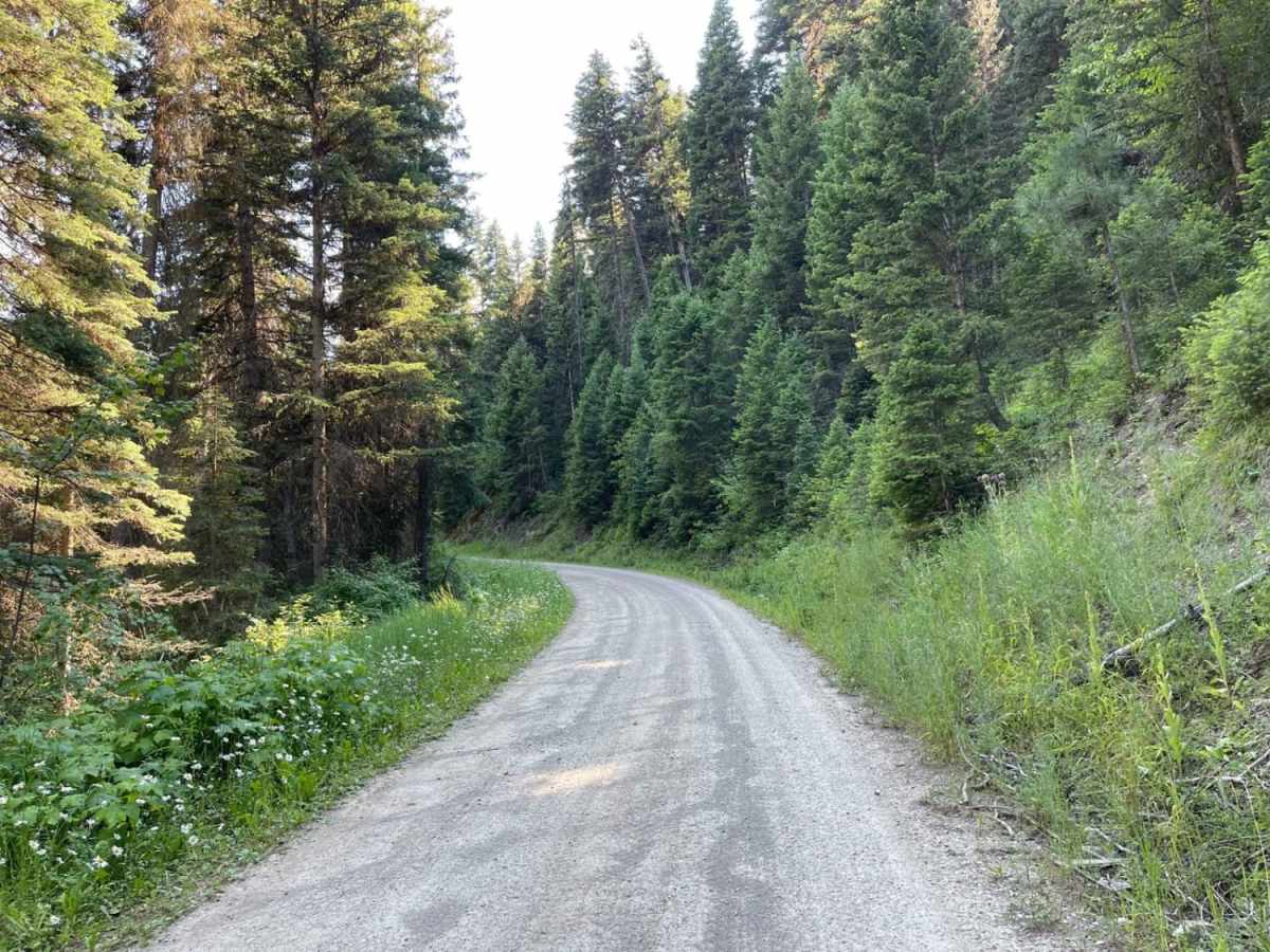 Schwartz Creek photo 6