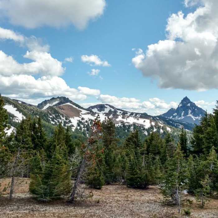 Near Tipsoo Peak Hike