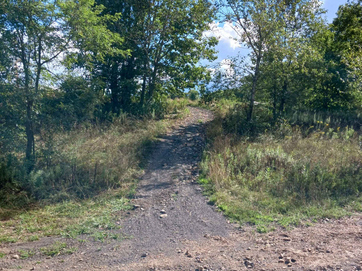 Pat's Flats - Rock Run Recreation Area photo 3