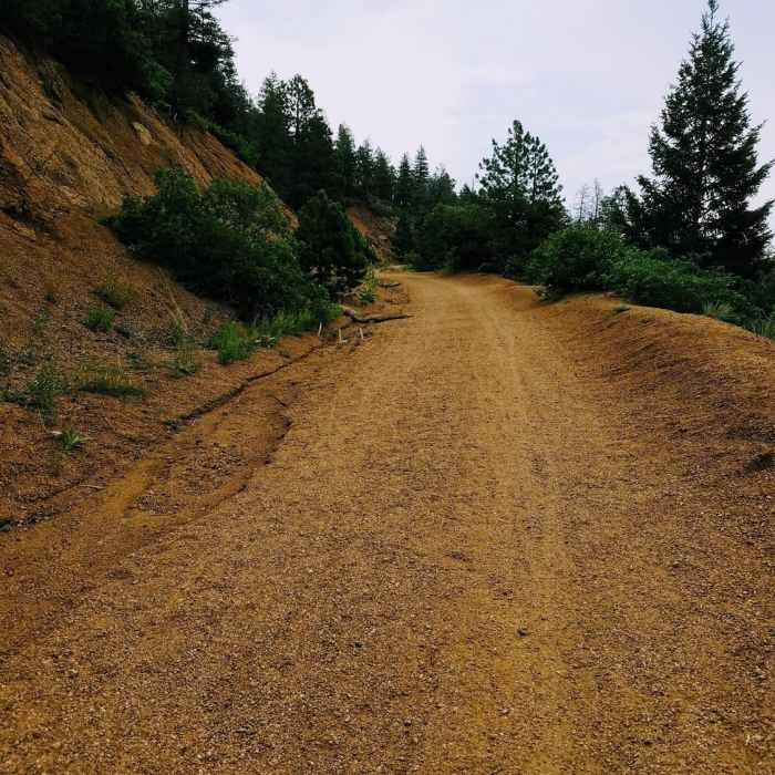 Near Mays Peak Ramble via Penrose Trail (#665)