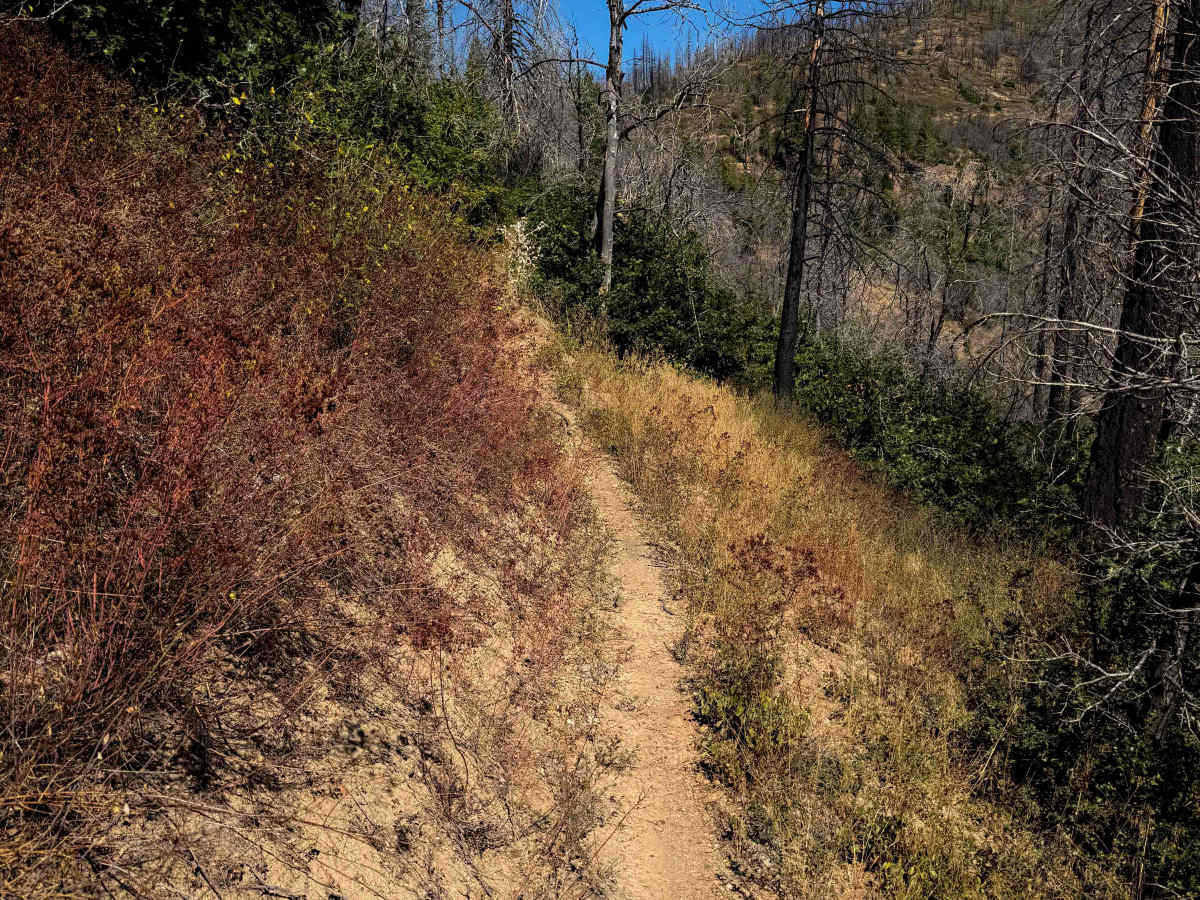Lower Indian Falls Ridge  trail photo