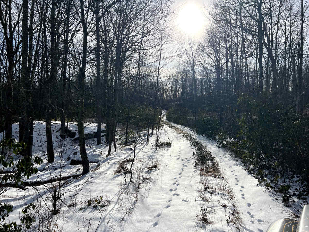 Coffer's Vista Trail photo 3