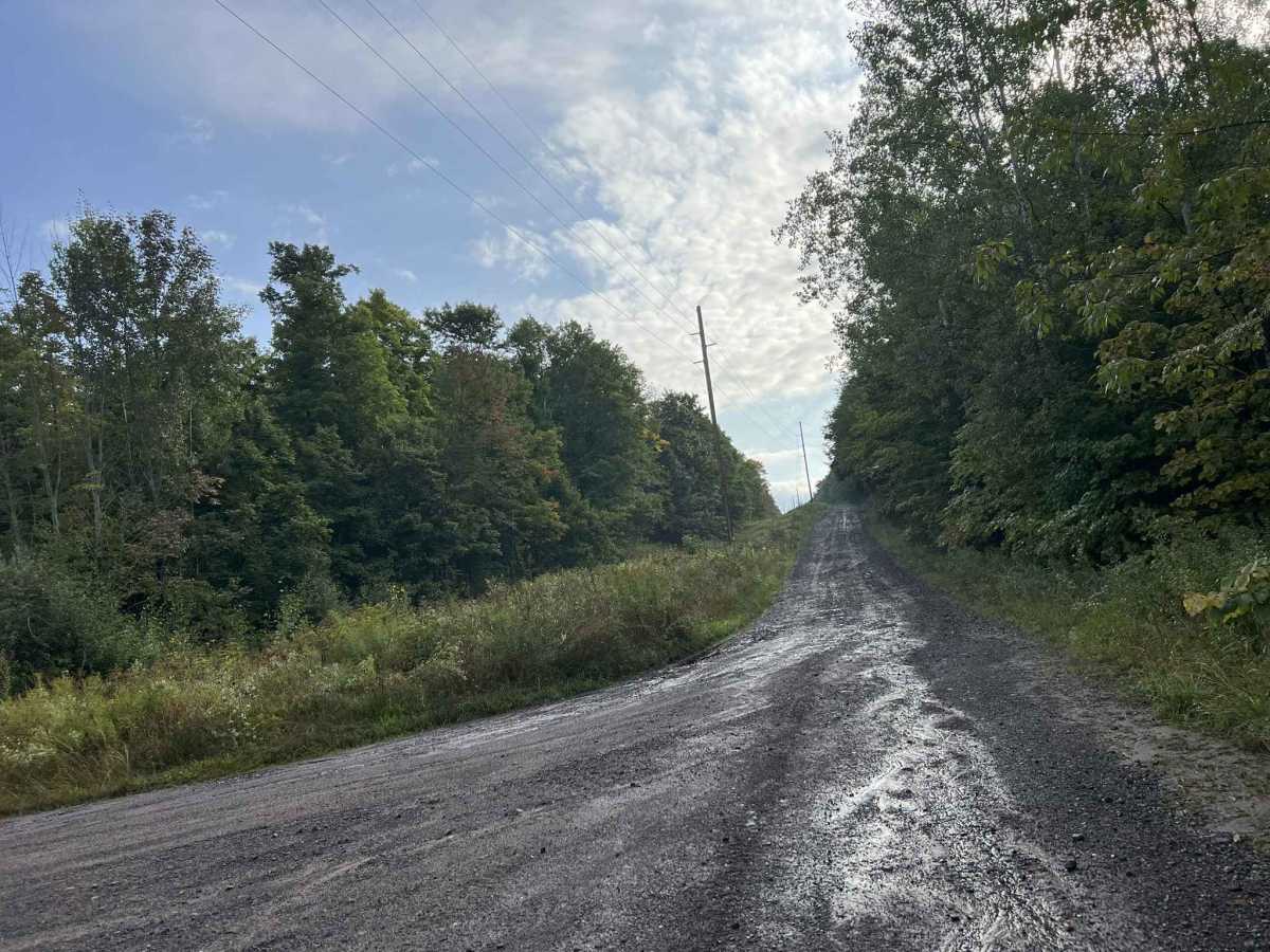 Trail P - Victoria Road photo 5