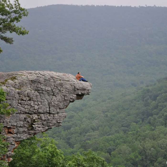 Near Whitaker Point Trail (Hawksbill Crag)