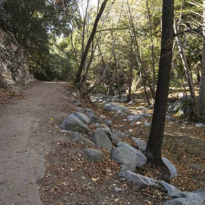 Near Switzer Falls Hike via Gabrielino Trail