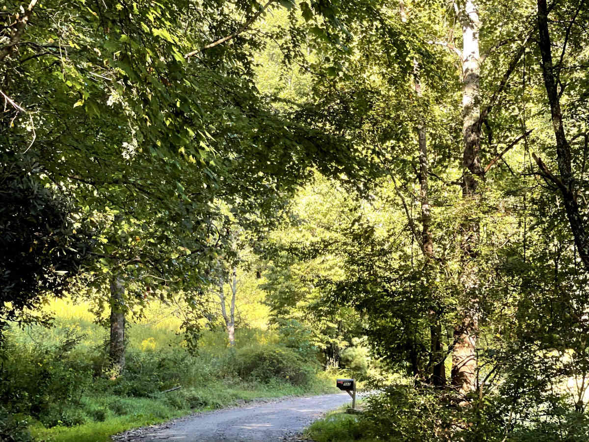Jake's Mountain Road photo 5